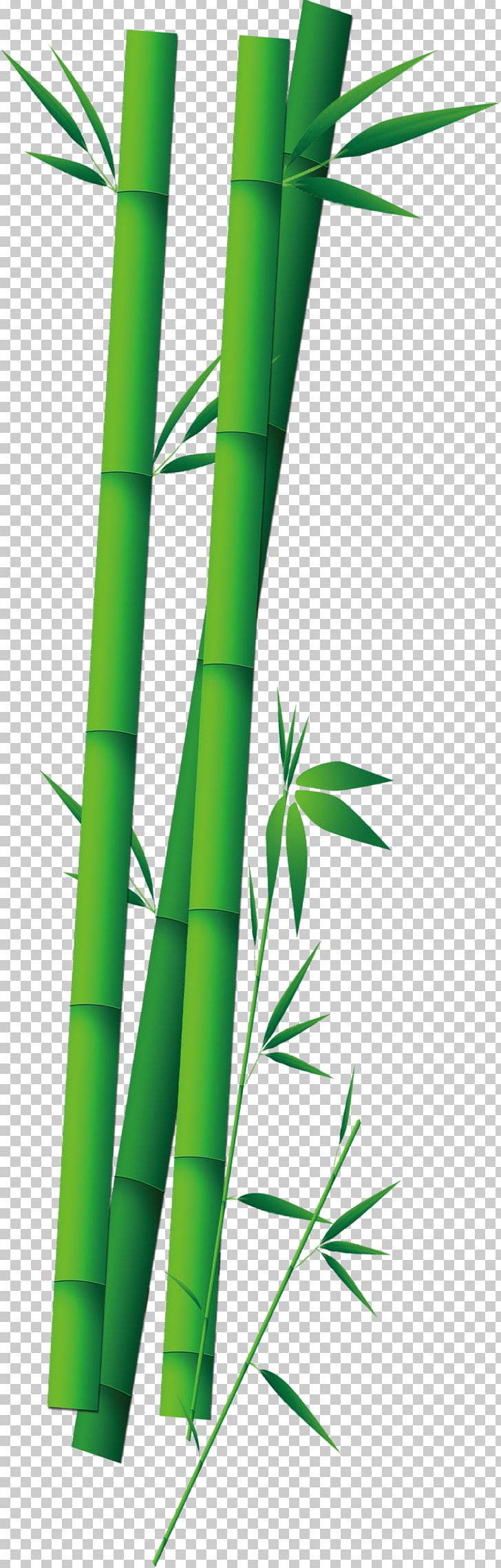 Zongzi Bamboo PNG, Clipart, Angle, Bamboo, Bamboo Border, Bamboo Frame, Bamboo Leaf Free PNG Download