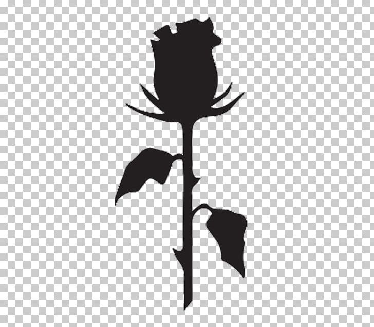 Black Rose Instagram Surfboard Surfing Hashtag PNG, Clipart, Black And White, Black Rose, Branch, Computer Wallpaper, Face Free PNG Download