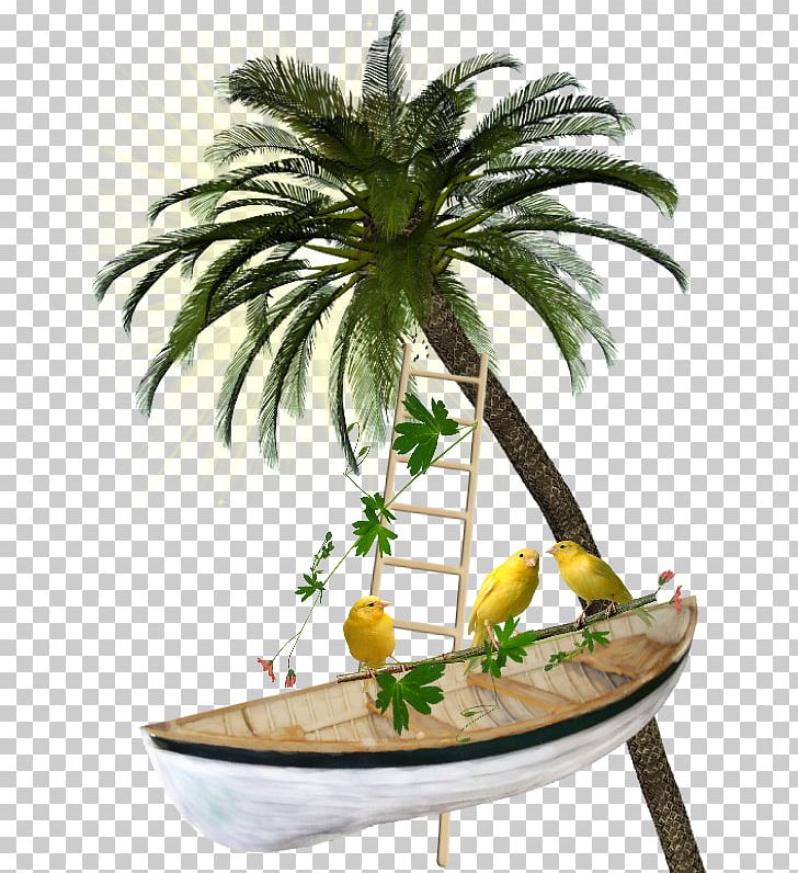 Ship PNG, Clipart, Arecales, Bateau, Boat, Coconut, Collage Free PNG Download
