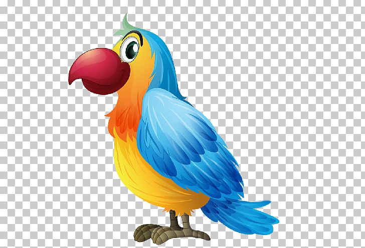 Bird Parrot PNG, Clipart, Animals, Beak, Bird, Bird Collections, Blueandyellow Macaw Free PNG Download