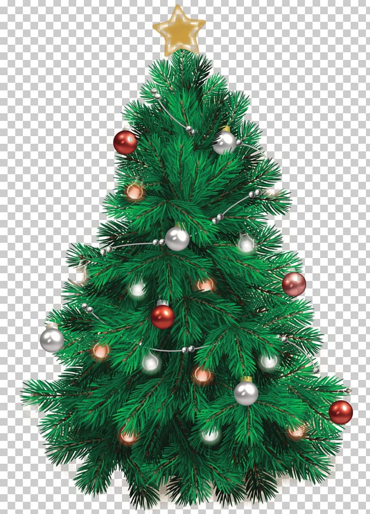Christmas Decoration Party MODESTROVE Christmas Tree PNG, Clipart, Albero Della Vita, Blog, Christmas, Christmas Card, Christmas Decoration Free PNG Download