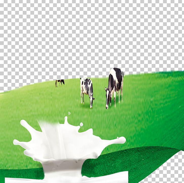 Dairy Cattle Milk Cow PNG, Clipart, Animals, Cattle, Cattle Like Mammal, Computer Wallpaper, Concepteur Free PNG Download