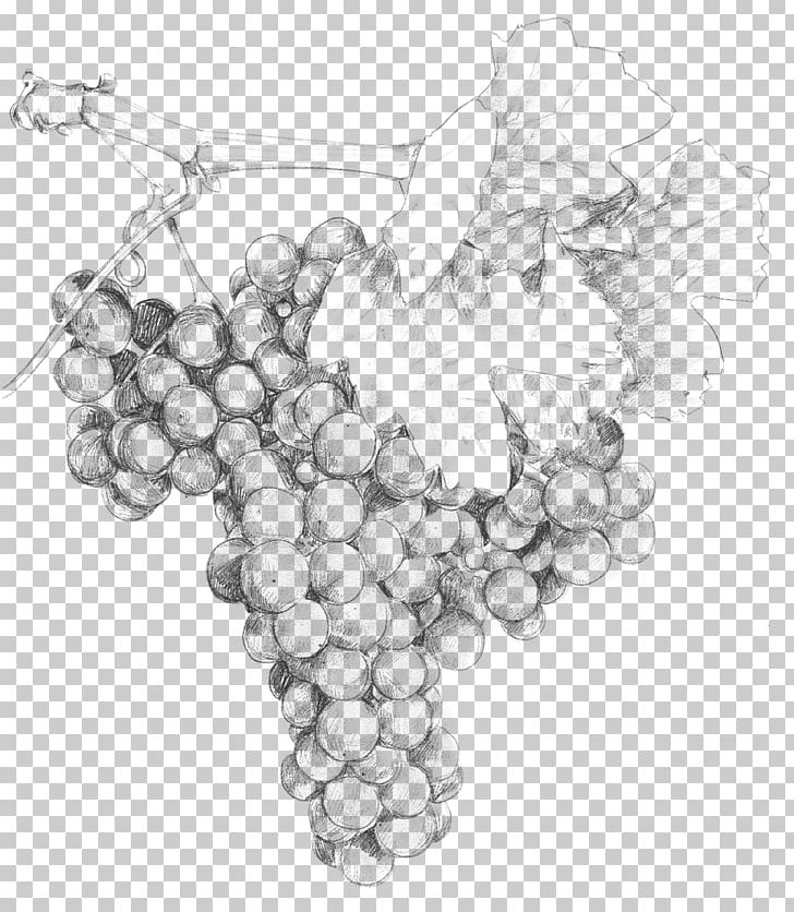 Grape Two Paddocks Pinot Noir Wine /m/02csf PNG, Clipart, Artwork, Black And White, Central Otago, Common Grape Vine, Drawing Free PNG Download