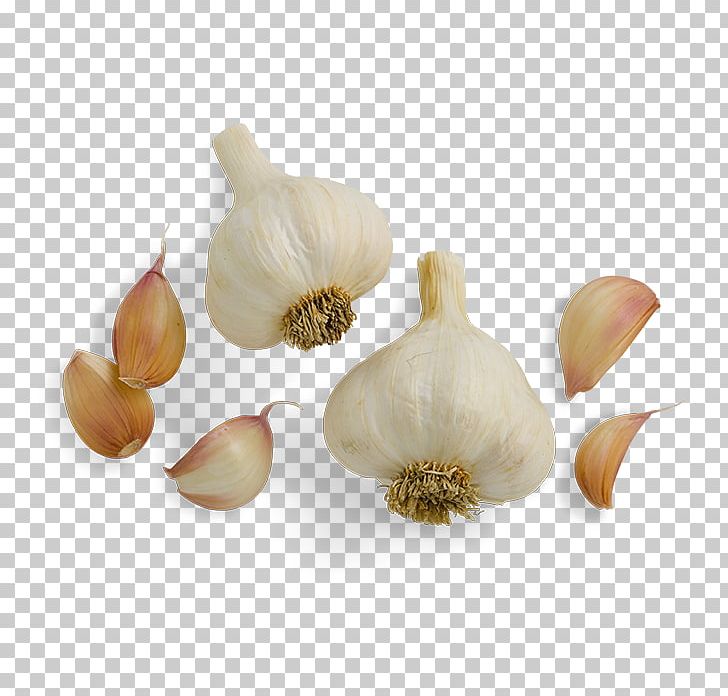 Shallot Garlic Smokehouse Ingredient Food PNG, Clipart, Clove, Elephant Garlic, Flavor, Food, Garlic Free PNG Download