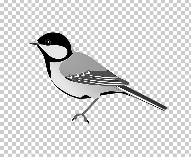 Bird Great Tit White-naped Tit American Sparrows Beak PNG, Clipart, Ameri, Animals, Beak, Bird, Bird Nest Free PNG Download