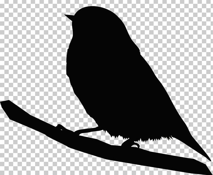 Bird Silhouette Beak Portable Network Graphics PNG, Clipart, Animals, Beak, Bird, Black And White, Branch Free PNG Download