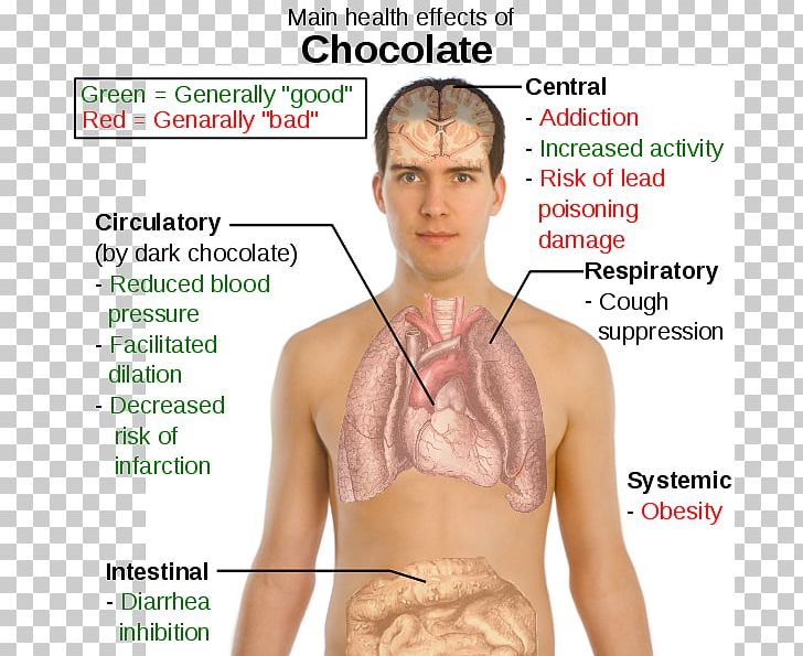 Dark Chocolate Cocoa Solids Health Effects Of Chocolate Cocoa Bean PNG, Clipart, Abdomen, Active Undergarment, Antioxidant, Arm, Chest Free PNG Download