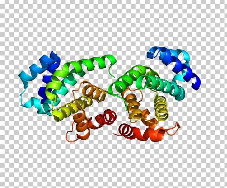 Eukaryotic Initiation Factor Protein Eukaryotic Translation Gene PNG, Clipart, 4 G, Cell, Cterminus, Eif, Eukaryotic Initiation Factor Free PNG Download