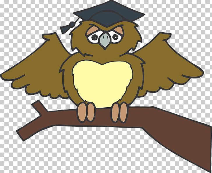 Graduation Ceremony Owl PNG, Clipart, Animals, Beak, Bird, Bird Of Prey, Cartoon Free PNG Download
