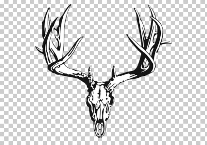 White-tailed Deer Reindeer Antler Elk PNG, Clipart, Animals, Antler, Black And White, Deer, Deer Hunting Free PNG Download