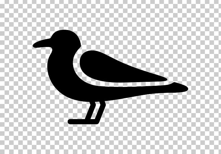 Bird Gulls Computer Icons PNG, Clipart, Animals, Artwork, Beak, Bird, Black And White Free PNG Download