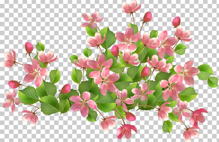 Flower Basket PNG, Clipart, Basket, Blossom, Branch, Cherry Blossom, Floral Free PNG Download