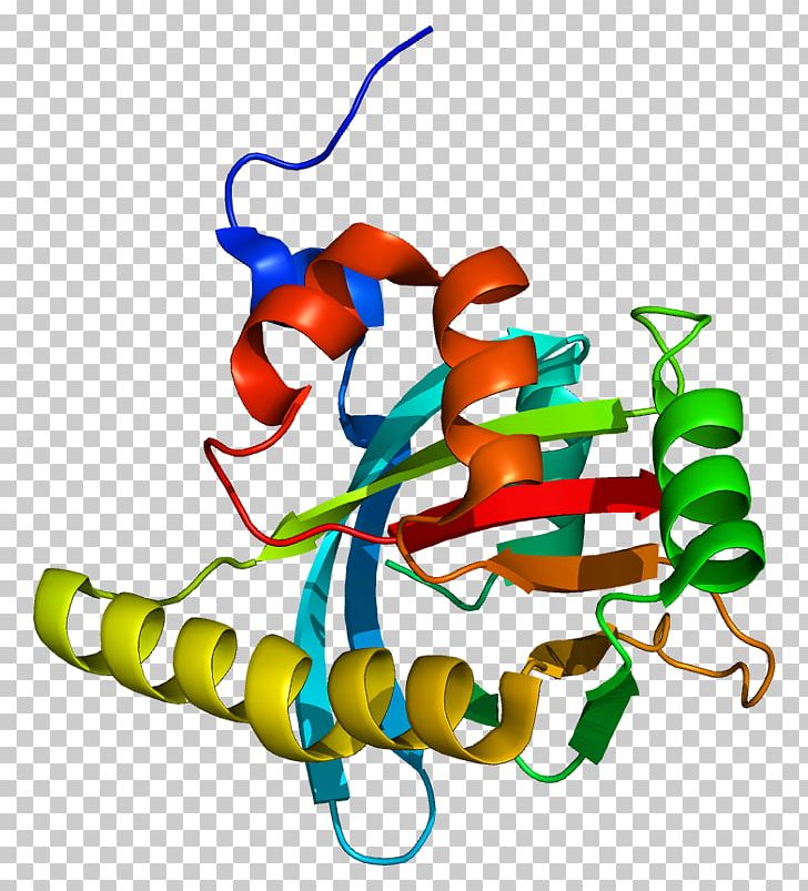 Gene Histone Deacetylase Protein Stylus PNG, Clipart, Androgen Receptor, Area, Artwork, Coding Region, Complementary Dna Free PNG Download