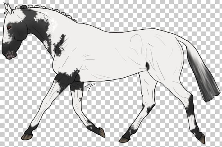 Mule Mustang Appaloosa Pony Foal PNG, Clipart, Artwork, Black And White, Bridle, Colt, Drawing Free PNG Download
