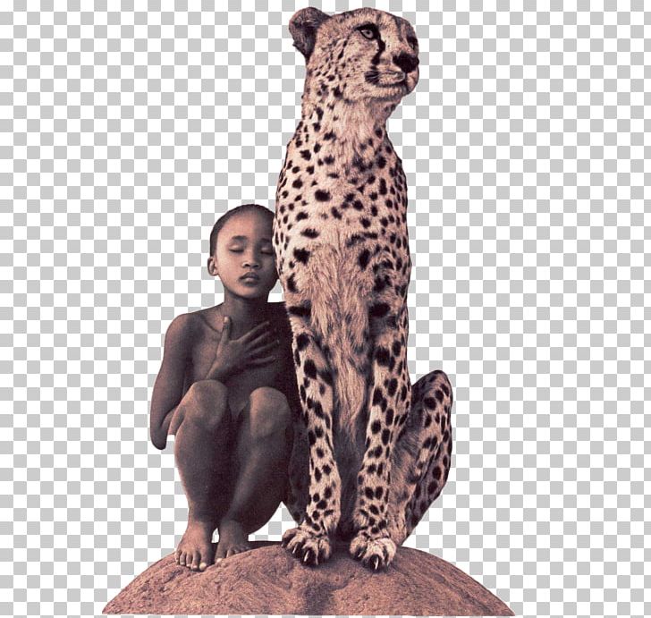 Nomadic Museum Gregory Colbert Ashes And Snow Photographer Poster PNG, Clipart, Art, Artcom, Art Exhibition, Ashes And Snow, Big Cats Free PNG Download