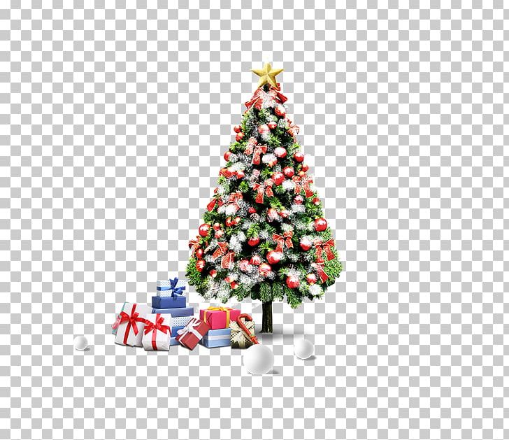 Santa Claus Christmas Decoration Christmas Ornament Christmas Tree PNG, Clipart, Christmas, Christmas Decoration, Christmas Elf, Christmas Frame, Christmas Gift Free PNG Download