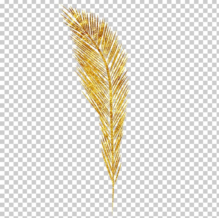 Emmer Ear Euclidean PNG, Clipart, Agriculture, Bumper, Cartoon Wheat, Commodity, Crop Free PNG Download