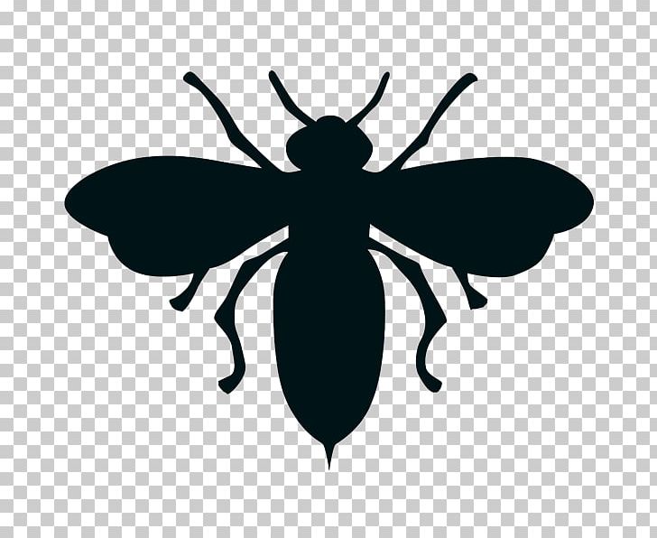 Insect European Dark Bee Black And White Drawing PNG, Clipart, Animals, Arthropod, Bee, Black And White, Child Free PNG Download