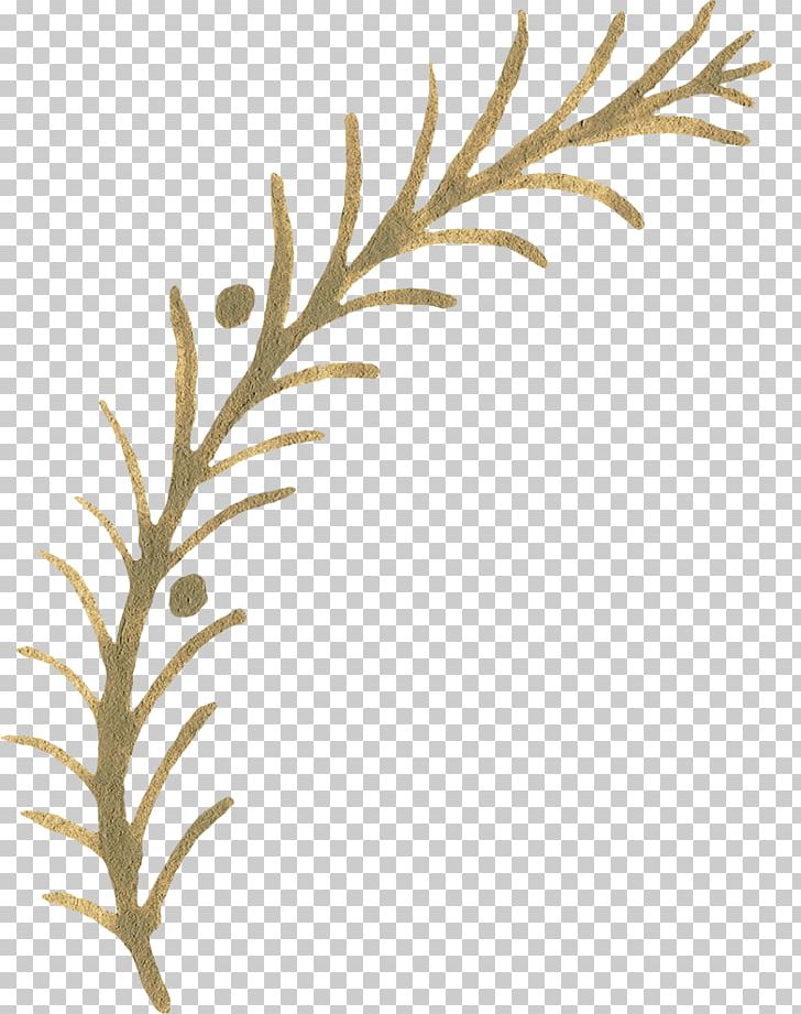 Twig Pattern PNG, Clipart, Branch, Food Drinks, Green, Hand, Hand Drawn Free PNG Download