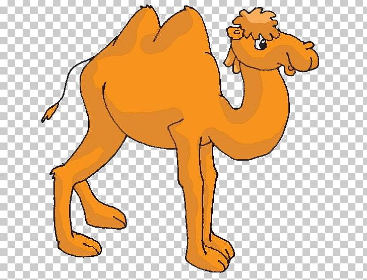 Dromedary Bactrian Camel Animal Сорочьи сказки Fairy Tale PNG, Clipart, Aleksey Nikolayevich Tolstoy, Animal, Animal Figure, Arabian Camel, Artwork Free PNG Download
