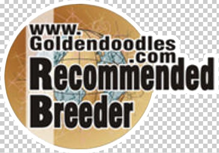 Goldendoodle Labradoodle Poodle Cavapoo Puppy PNG, Clipart, Animals, Bernedoodle, Brand, Breed, Breeder Free PNG Download