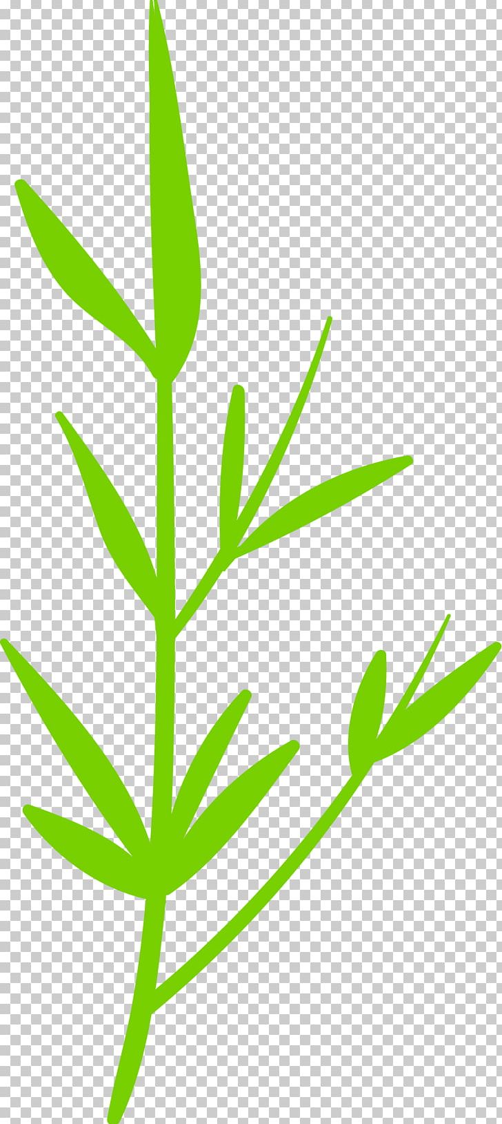 Leaf Grasses Plant Stem Hemp PNG, Clipart, Air, Background Green, Breath, Family, Fresh Free PNG Download