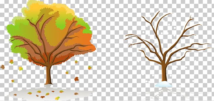 Season Tree Autumn PNG, Clipart, Autumn Leaves, Autumn Vector, Branch, Christmas Tree, Computer Wallpaper Free PNG Download