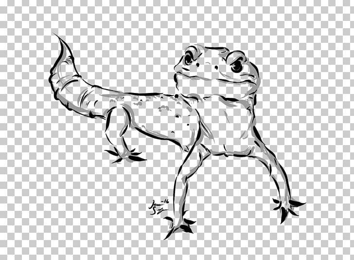 How to Draw an Amphibian - YouTube