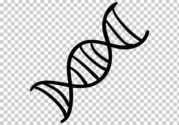 DNA Nucleic Acid Double Helix Computer Icons Genetics PNG, Clipart, Art, Biology, Black And White, Computer Icons, Dna Free PNG Download