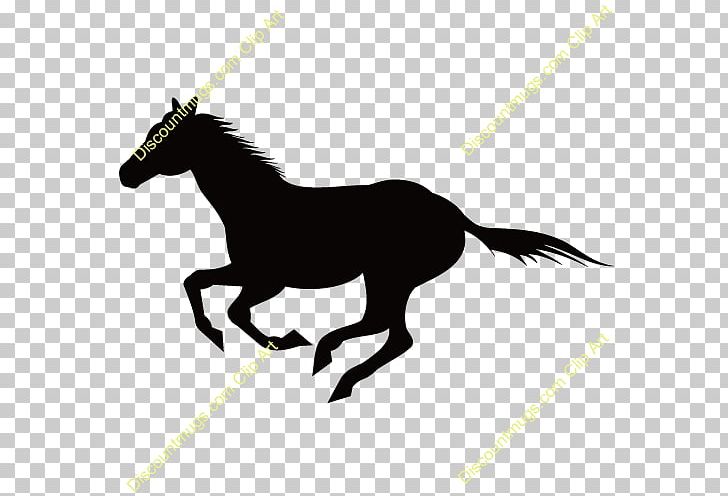 Horse Wall Decal Sticker Cattle PNG, Clipart, Animals, Black And White, Bridle, Bumper Sticker, Cattle Free PNG Download