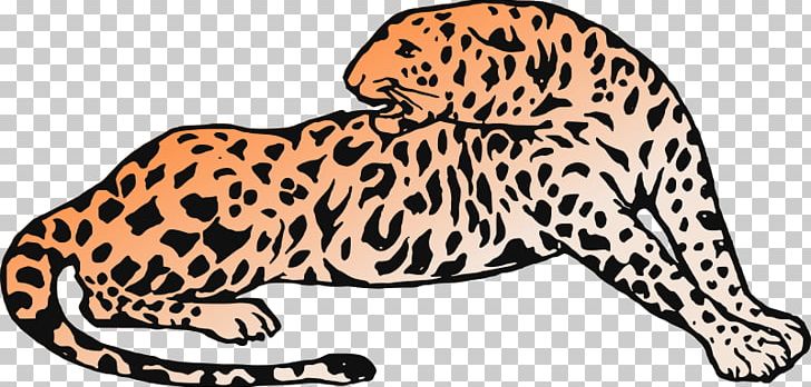 Leopard Cheetah Jaguar Tiger Whiskers PNG, Clipart, Animal, Animal Figure, Animal Print, Animals, Big Cats Free PNG Download