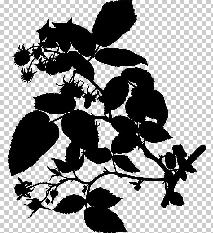 Red Raspberry PNG, Clipart, Berry, Black And White, Botanical Illustration, Branch, Flower Free PNG Download