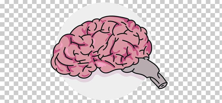 Brain Pink M Neurology PNG, Clipart, Brain, Jaw, Neurology, Organ, People Free PNG Download