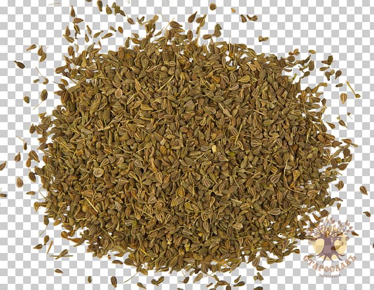 Anise Nalewka Seed Herb Infusion PNG, Clipart, Anise, Basil, Decoction, Food Drinks, Herb Free PNG Download