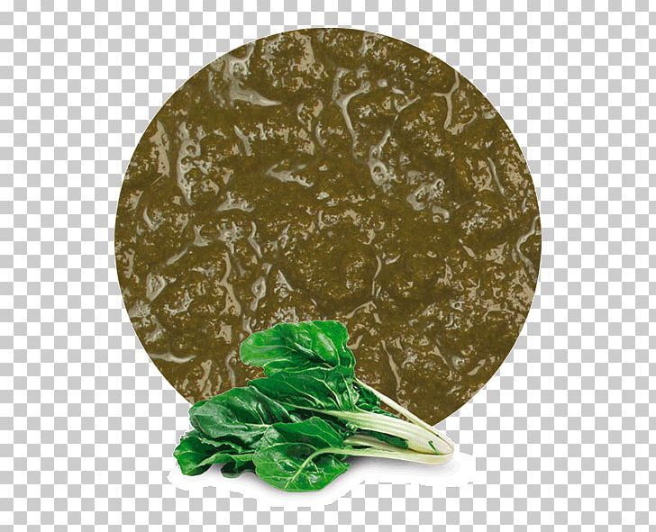 Food Chard Purée Vegetable Spinach PNG, Clipart, Chard, Concentrate, Drink, Food, Food Drinks Free PNG Download