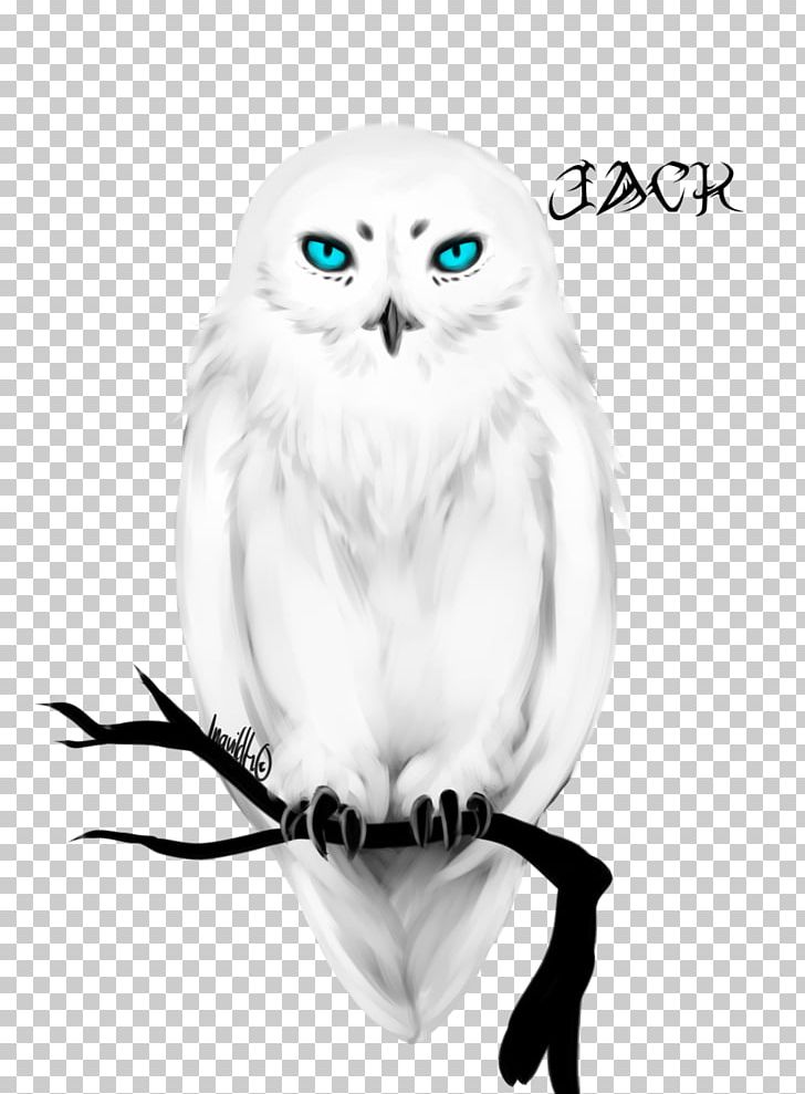 Eye Photography Blue PNG, Clipart, Animals, Art, Beak, Bird, Bird Of Prey Free PNG Download