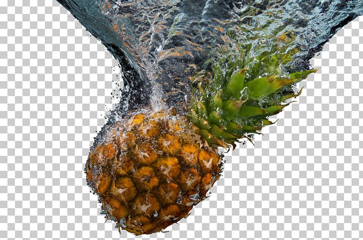 Pineapple Limeade Water Fruit Stock.xchng PNG, Clipart, Attack, Drink, Flavor, Food, Fruit Free PNG Download