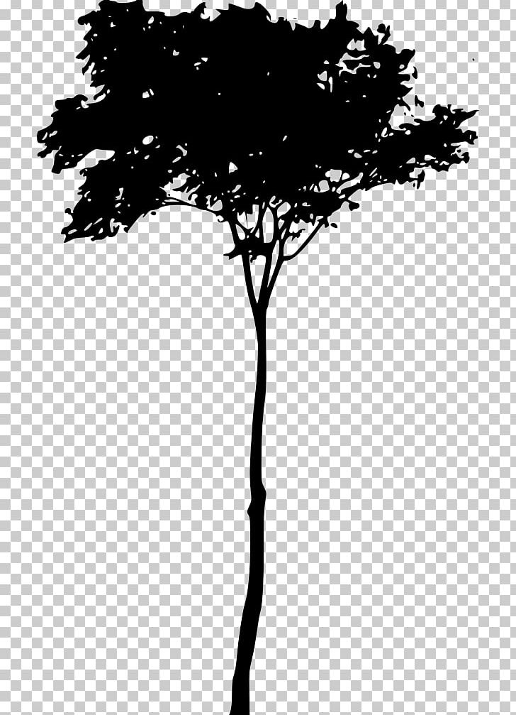 Twig Silhouette PNG, Clipart, Animals, Black And White, Branch, Desktop Wallpaper, Download Free PNG Download