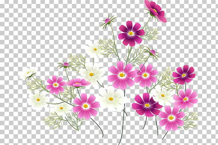 Flower Floral Design Garden Cosmos Motif Spring PNG, Clipart, Annual Plant, Cosmos, Daisy Family, Decorative Arts, Drawing Free PNG Download