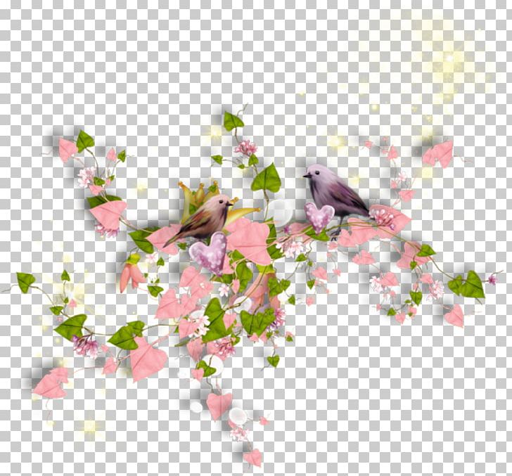 Flower PNG, Clipart, Bird, Blossom, Branch, Cherry Blossom, Color Free PNG Download