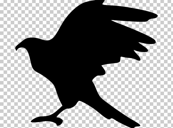 Bald Eagle Silhouette PNG, Clipart, Animals, Artwork, Bald Eagle, Beak, Bird Free PNG Download