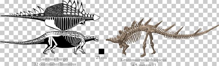 Dinosaur Line Art Animal Legendary Creature PNG, Clipart, Agile, Animal, Animal Figure, Black And White, Dinosaur Free PNG Download