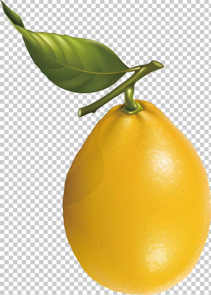 Lemon Mandarin Orange Fruit PNG, Clipart, Bitter Orange, Citrus, Food, Fruit, Fruit Nut Free PNG Download