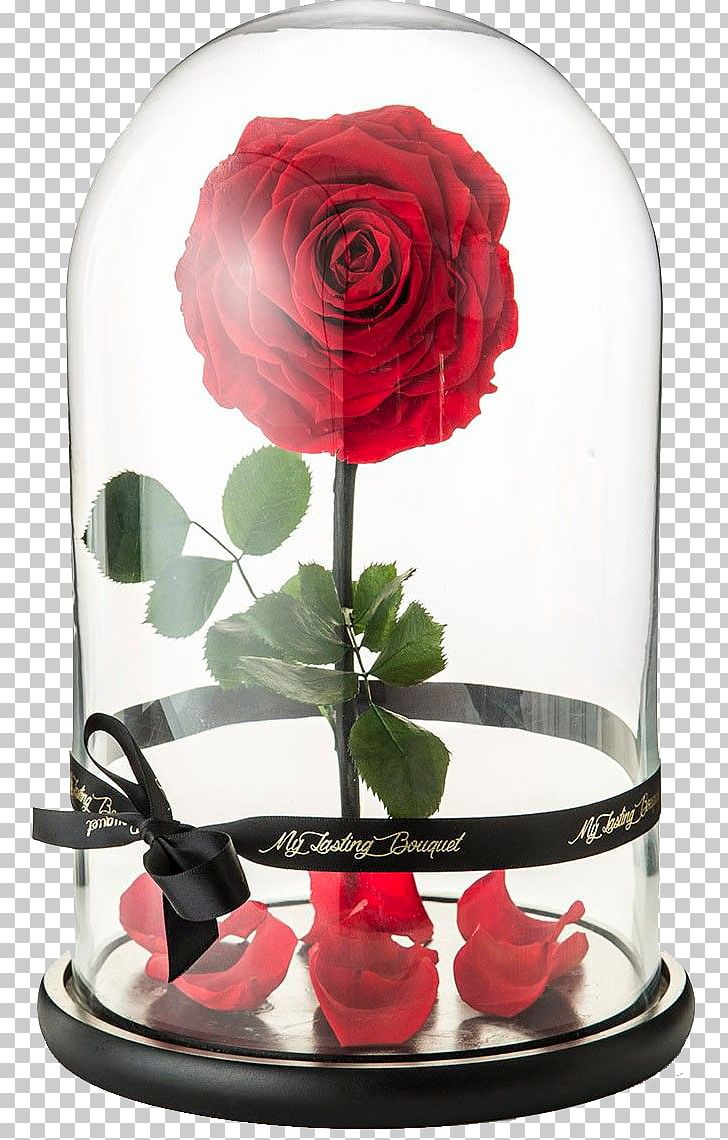 Belle Beast Rose Flower Floral Design PNG, Clipart, Advise, Beauty And The Beast, Bouquet, Centrepiece, Cut Flowers Free PNG Download