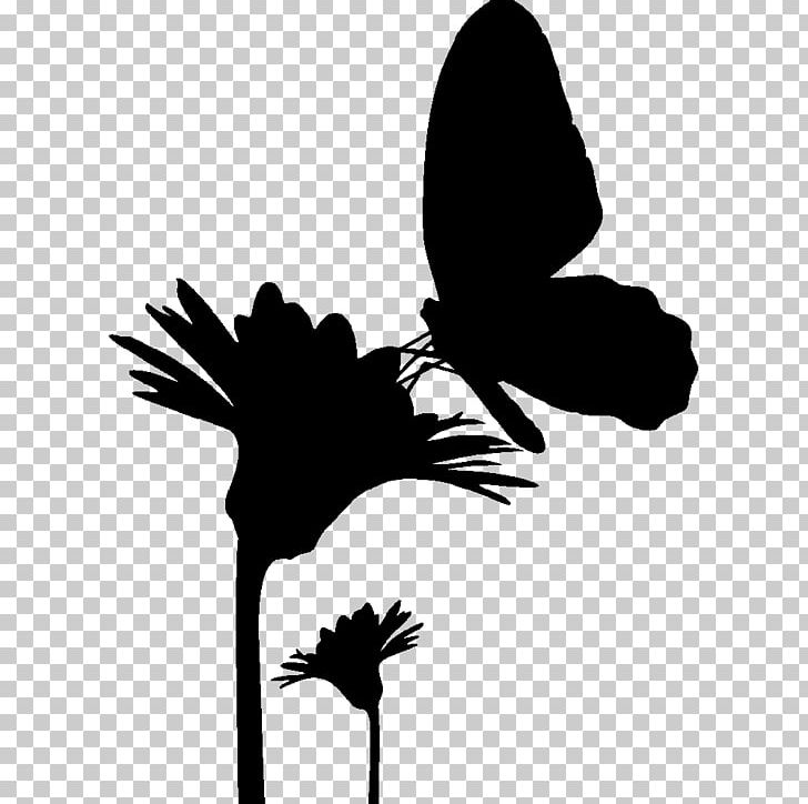 Butterfly Silhouette Drawing PNG, Clipart, Beak, Bird, Black And White, Branch, Butterflies And Moths Free PNG Download