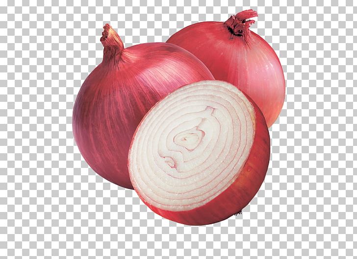 Red Onion Vegetable Sicilian Orange Salad Yellow Onion White Onion PNG, Clipart, Christmas Ornament, Food, Food Drinks, Fruit, Garlic Free PNG Download