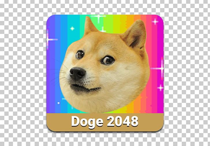 Doge 2048 0 Free Puzzle Game PNG, Clipart, 2048, Android, Animals, Carnivoran, Desktop Wallpaper Free PNG Download