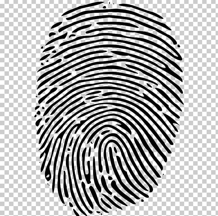 Fingerprint PNG, Clipart, Area, Black, Black And White, Circle, Finger Free PNG Download