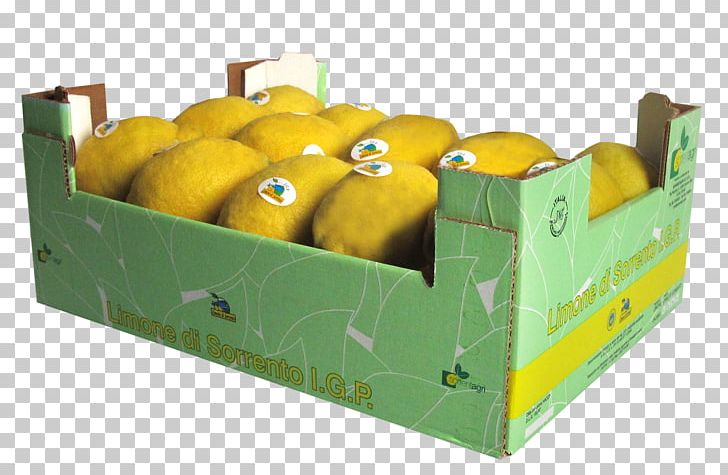 Limoncello Fruit Lemon Liqueur Limone Di Sorrento PNG, Clipart, Arancello, Biscuit, Box, Citrus, Cultivar Free PNG Download