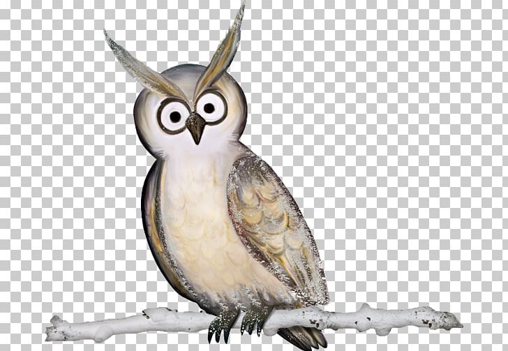 Owl Bird PNG, Clipart, Animals, Beak, Bird, Bird Of Prey, Branches Free PNG Download